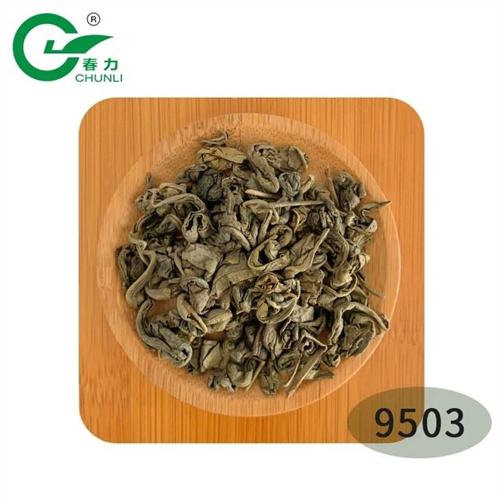 Gunpowder Tea suppliers