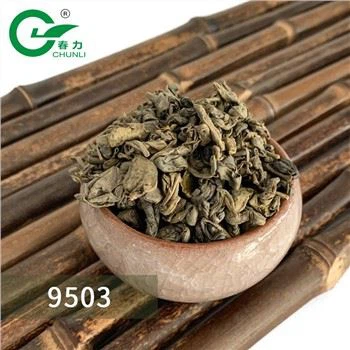 Green Tea Gunpowder Loose Leaf Tea Factory 9503